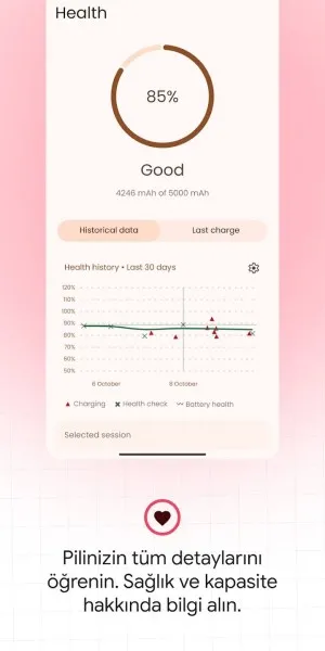 Battery Guru Ekran Görüntüsü 2