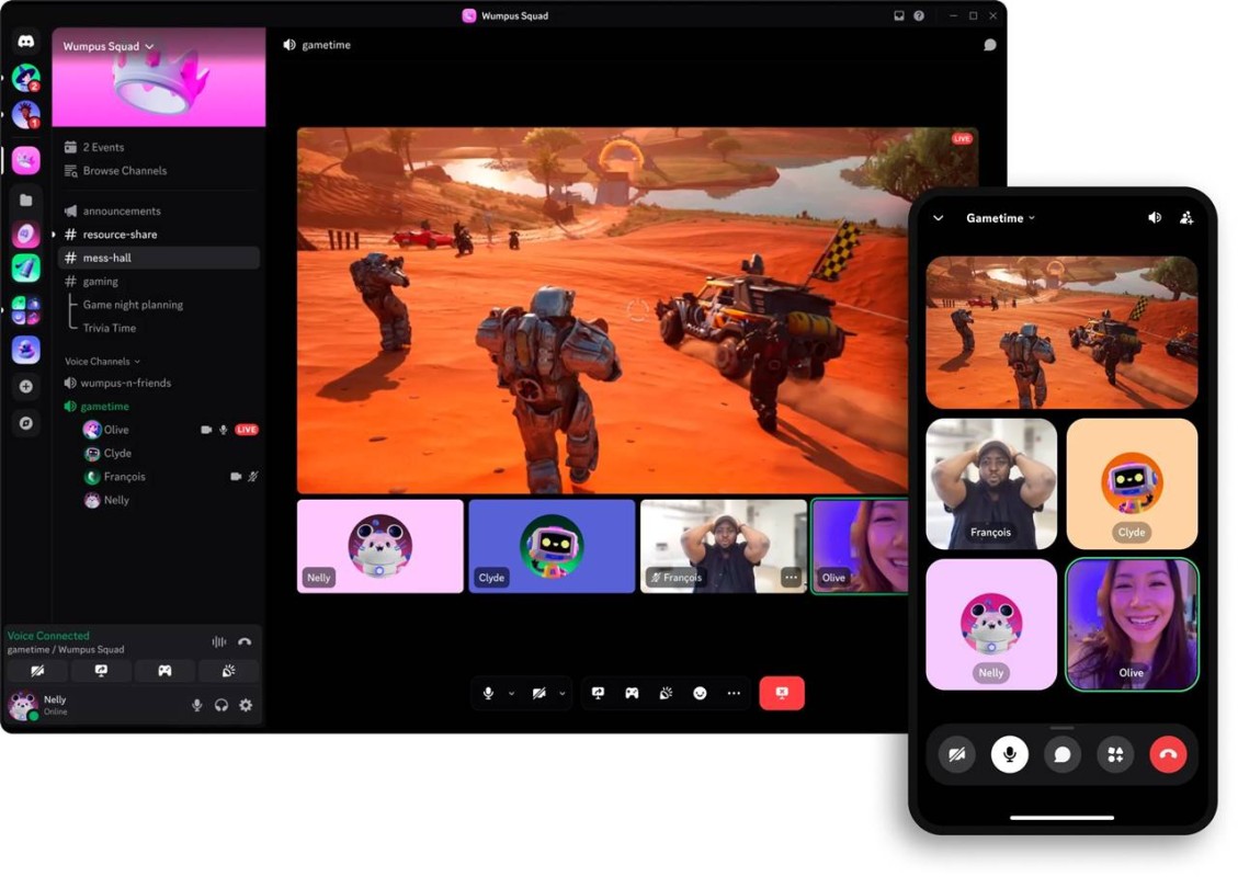 Discord (DC) Ekran Görüntüsü