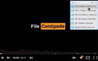 File Centipede