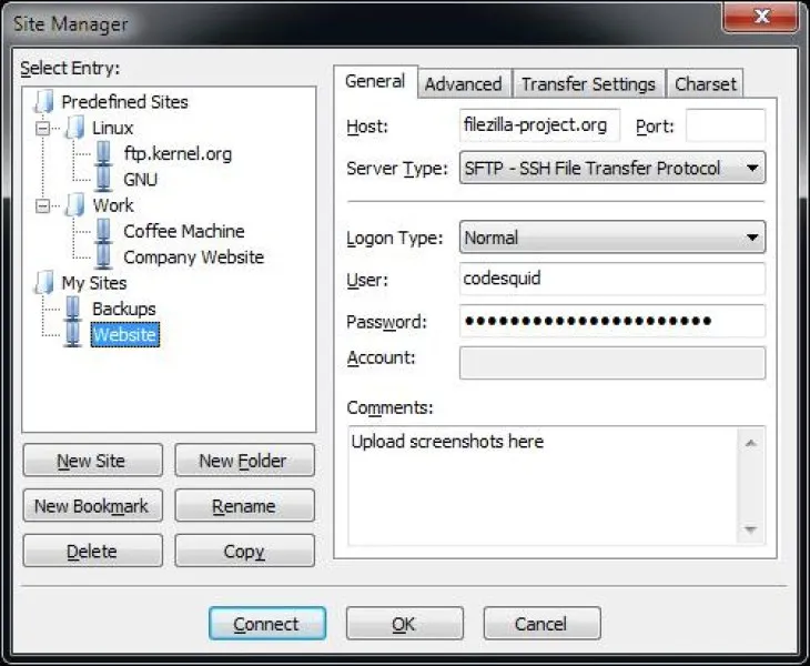 FileZilla Ekran Görüntüsü 2