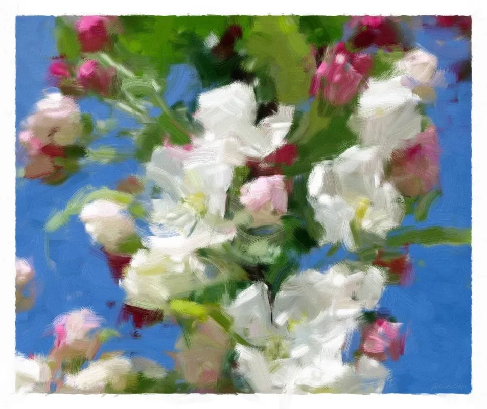 FotoSketcher - Görsel 1