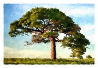 FotoSketcher