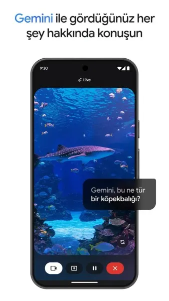 Google Gemini Ekran Görüntüsü 3