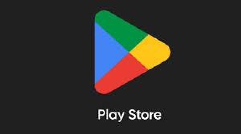 Google Play Store (APK)
