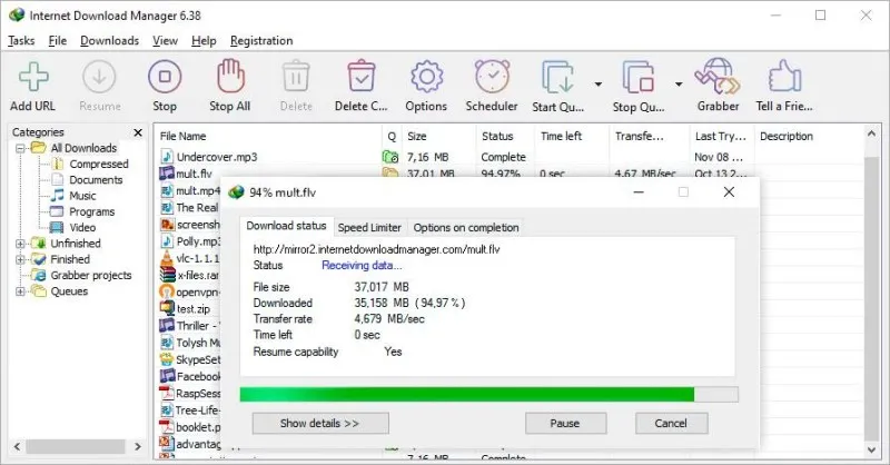 Internet Download Manager (IDM) Ekran Görüntüsü 1