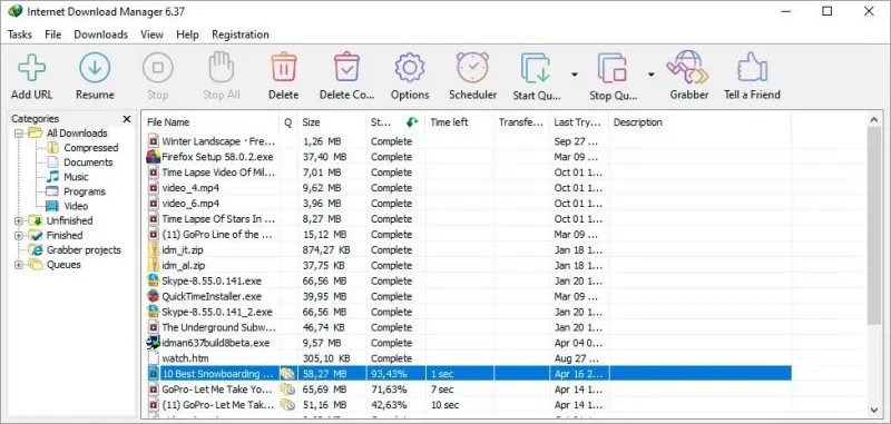 Internet Download Manager (IDM) Ekran Görüntüsü 4