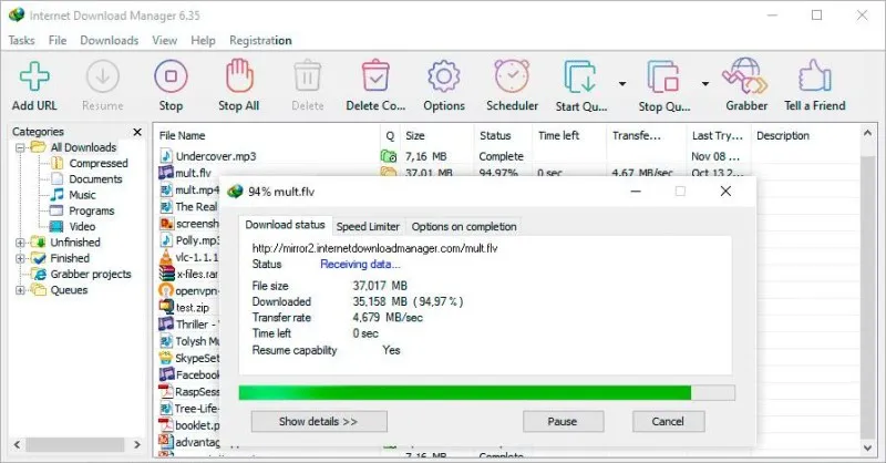 Internet Download Manager (IDM) Ekran Görüntüsü 5