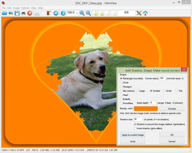 IrfanView Ekran Görüntüsü 5