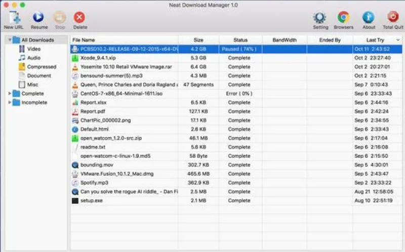 Neat Download Manager Ekran Görüntüsü 1