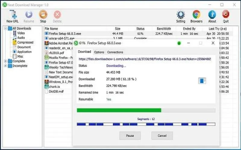 Neat Download Manager Ekran Görüntüsü 4