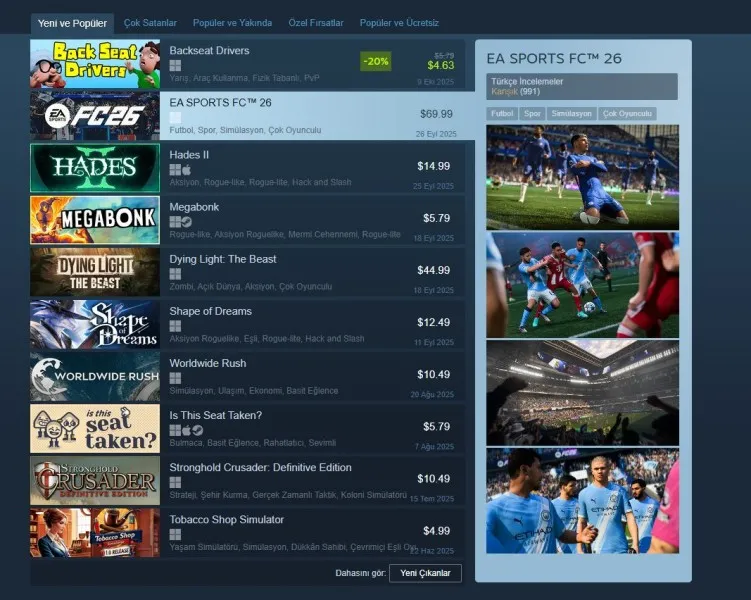 Steam Ekran Görüntüsü 4