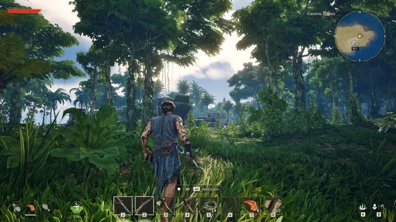 Windrose Ekran Görüntüsü 2